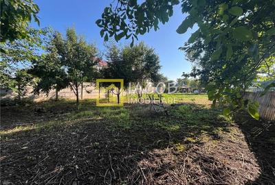 Casa pe parter cu 1010 mp teren, magazie, beci, strada Bucegi, Bacau - 13