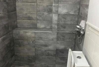 Spațiu comercial, de 32 mp, în Drumul Taberei