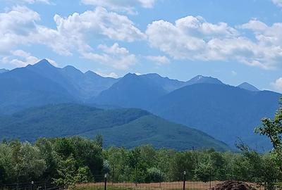 Spațiu comercial, în Cârțișoara - 5