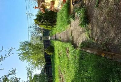 Casa la curte cu teren generos - 3