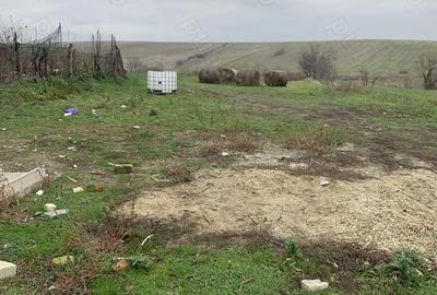 Casă cu 3 camere cu Teren 1384 Mp în Exterior Vest - 6