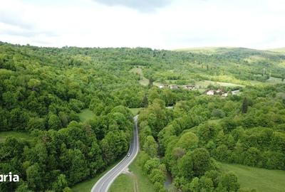 Teren de 4000 mp, în Babarunca - 2