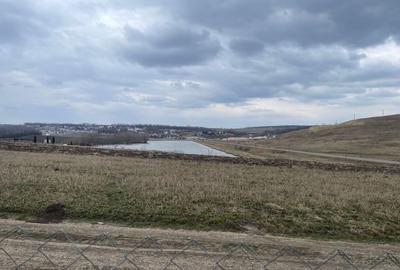 Spațiu comercial, în Curtești - 10