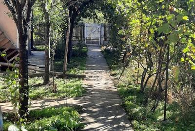 Casă cu 3 camere în Poșta Câlnău - 5