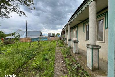 Casă cu 4 camere cu Teren 4430 Mp în Buciumeni - 12