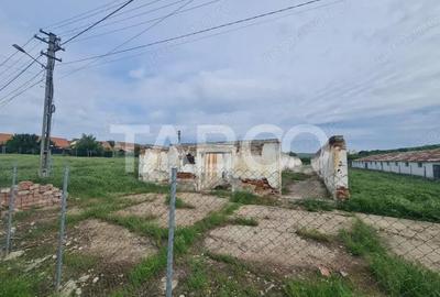 Hala in constructie cu teren intravilan de vanzare in Cut judetul Alba - 2