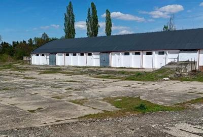Complex Industrial cu rampa feroviara de inchiriat in Birtin - Bihor - 1