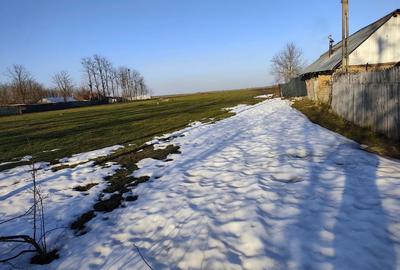 Spațiu comercial, în Bițina-Ungureni - 2