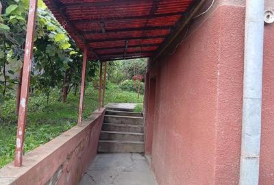 Casă cu 5 camere cu Teren 1000 Mp în Balda - 1