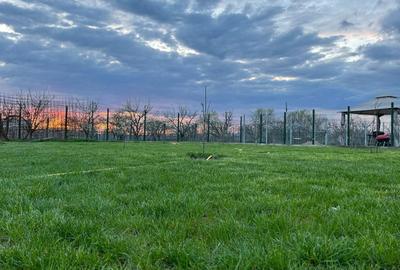 Casă cu 4 camere în Lipănești - 2