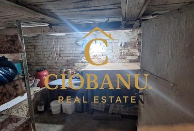 Casa de vanzare zona Campia Islaz - 12