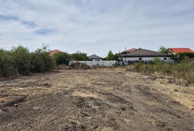 Teren intravilan 1000 mp - Domnesti - 1