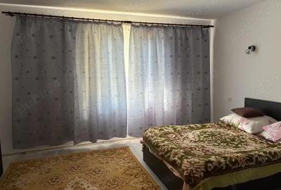 Casă cu 3 camere cu Teren 3200 Mp în Mihăileni - 2