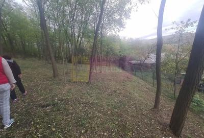 Casă cu 3 camere cu Teren 3410 Mp în Aluniș - 10