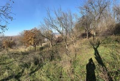 Casă cu 3 camere în Vadu Crișului - 1