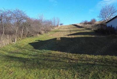 Teren Intravilan 2460 mp Suceava De Vanzare 0727817187 - 13