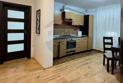 Apartament de inchiriat, zona Lapus - langa Electroputere Mall - 9