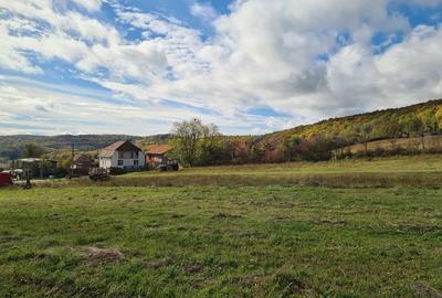 Teren de 2900 mp, în Drăgești - 2