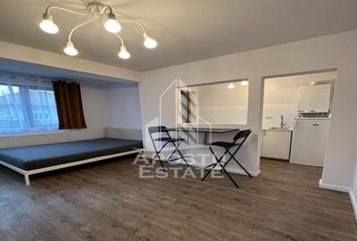 Apartament cu o camera in Dumbravita - 5