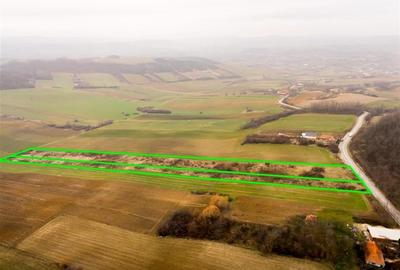 RECO Teren in Burzuc 13 041mp - 9