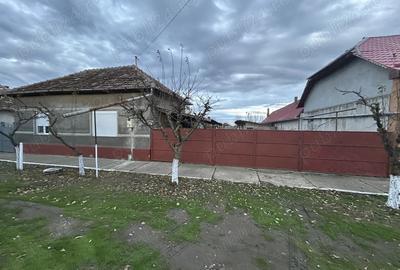 Casa de vanzare Teremia Mare - 2