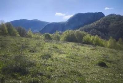 Teren de 3512 mp, în Central - 9