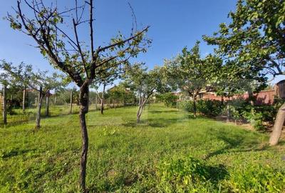 Teren Intravilan Blejoi, 1000mp , Oportunitate ! - 1