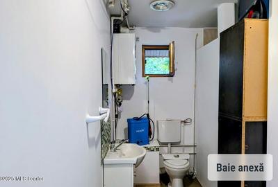 Branesti - Lac, Vila de familie P+E+M, 250 mp utili, teren 547 mp - 25