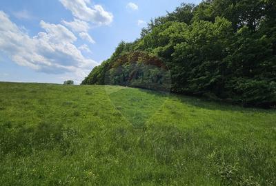 Teren Ilisesti  7000mp extravilan/ DN 17, Suceava - 27