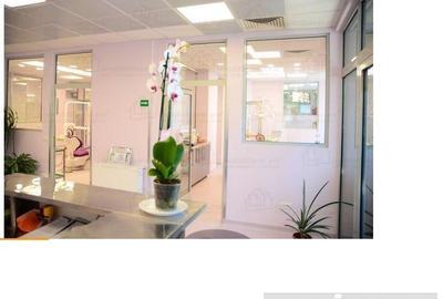 Spațiu comercial, de 240 mp, în Moșilor - 1