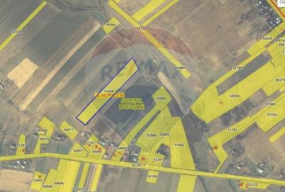 Teren agricol extravilan de 12000 mp, în Pădureni (Șendriceni) - 2