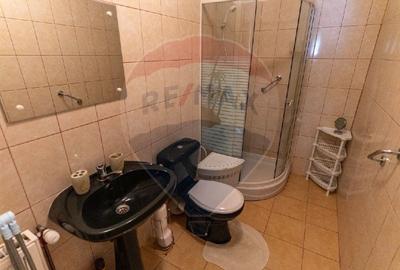 Casa de vanzare Certeju de Sus,jud Hunedoara - 13