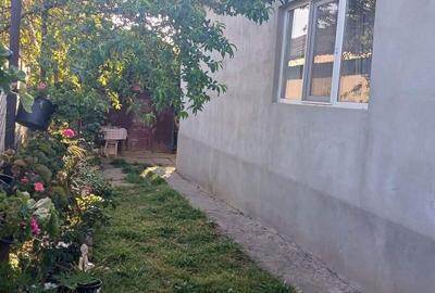 Casă cu 2 camere cu Teren 250 Mp în Tuzla - 4