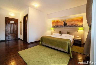 Spațiu comercial, de 350 mp, în Sighișoara - 10