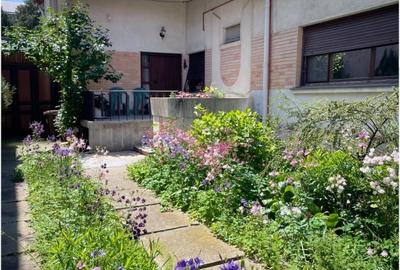 Vila solida si versatila in Cotroceni - gradina, multiple optiuni de utilizare - 19