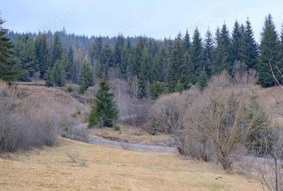Teren de 5814 mp, în Călimănel - 2