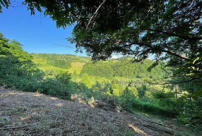 Teren zona turistica Rosia - 3