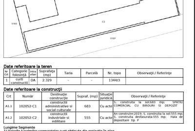 Spațiu industrial, de 580 mp, în Vetiș - 11