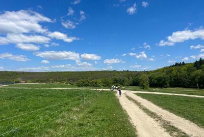 Teren de 12000 mp, în Vlădeni - 2