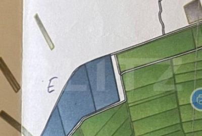 Teren arabil, 25 ha, Giulvaz-Foeni, front stradal 280 ml - 2