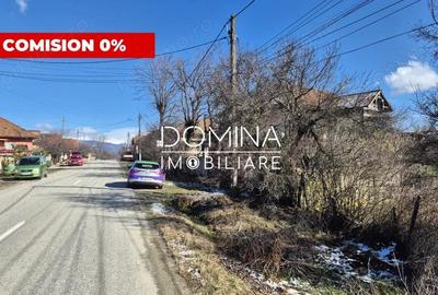 Teren de 6504 mp, în Curtișoara - 3