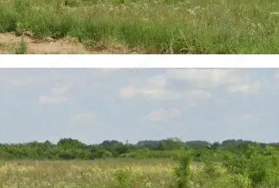 Teren Costestii din Vale, ID: R2582235 - 1