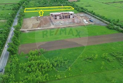 Teren 4,000mp Cicarlau / Strada Principala intravilan - 3