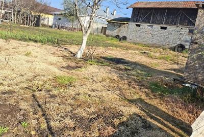 Casă cu Teren 1500 Mp în Comanca - 4