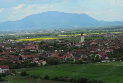 Teren de 500 mp, în Triaj