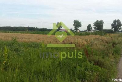 ? Teren Giurgiu, sat. Podisor, com. Bucsani? - 3
