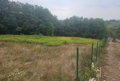 Spațiu comercial, în Luncani - 5