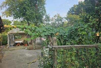 Casa de vanzare + teren ieftina - 1