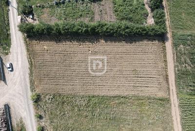 Teren 2000mp INTRAVILAN | Ilisesti | Bucovina - 5