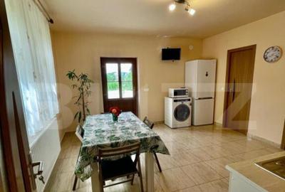 Casa renovata in Luna, langa Campia Turzii - 6